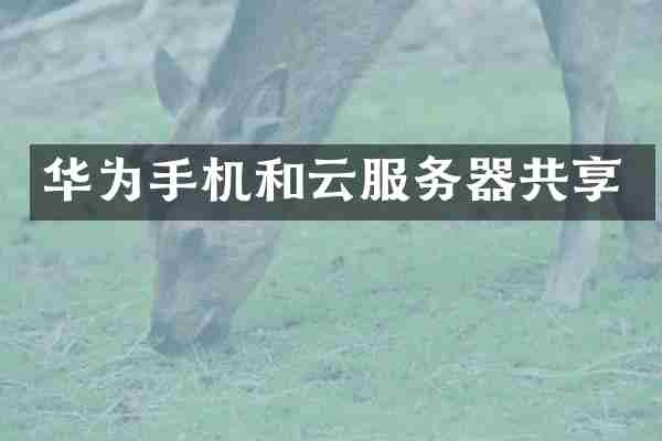 华为手机和云服务器共享