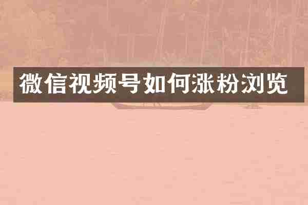微信视频号如何涨粉浏览