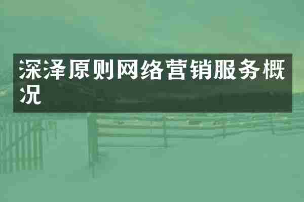 深泽原则网络营销服务概况