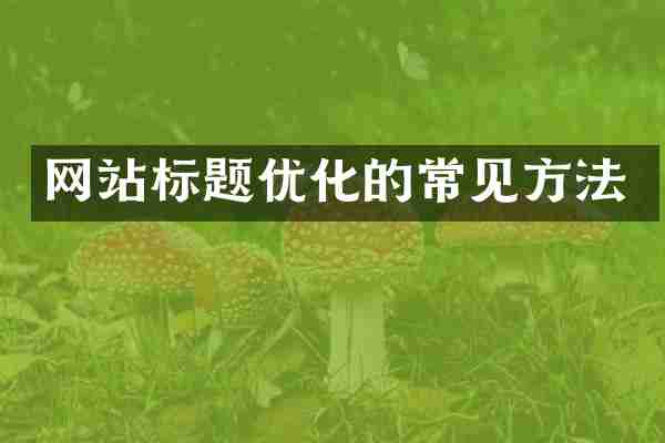 网站标题优化的常见方法