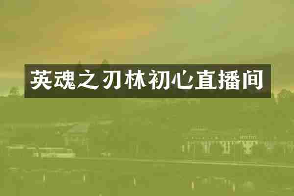 英魂之刃林初心直播间