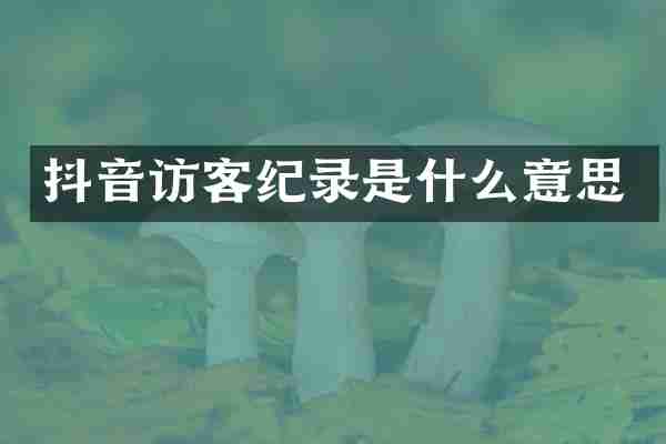 抖音访客纪录是什么意思