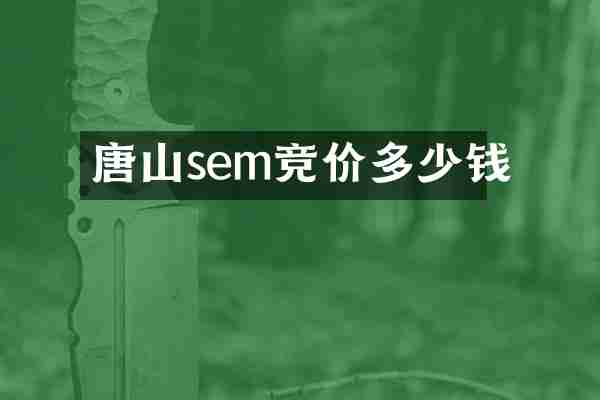 唐山sem竞价多少钱