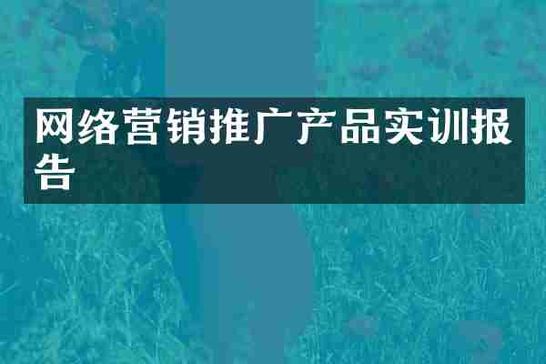 网络营销推广产品实训报告