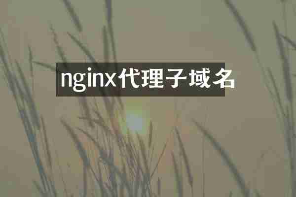nginx代理子域名