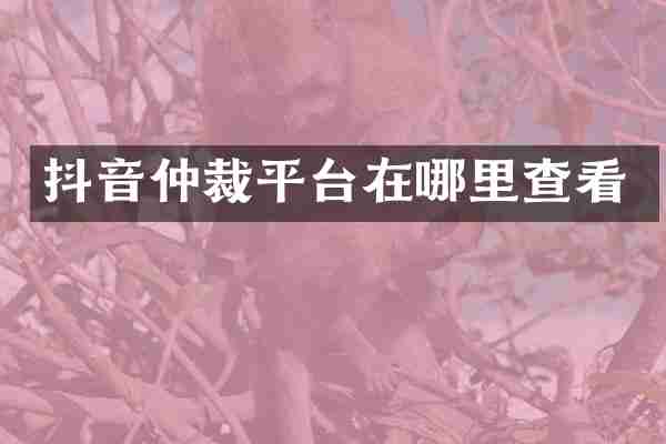 抖音仲裁平台在哪里查看