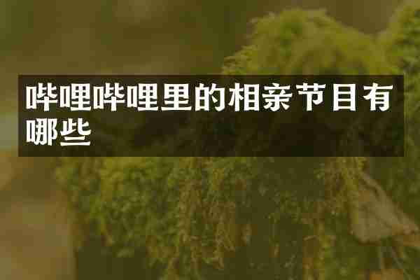 哔哩哔哩里的相亲节目有哪些