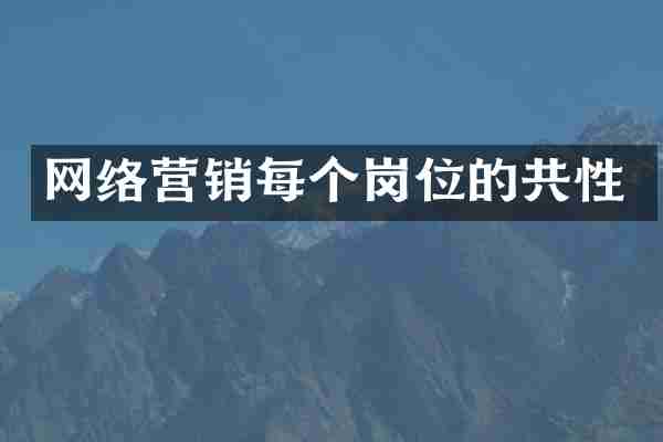 网络营销每个岗位的共性