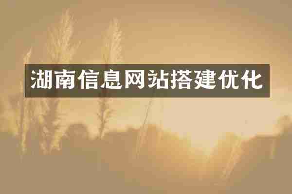 湖南信息网站搭建优化