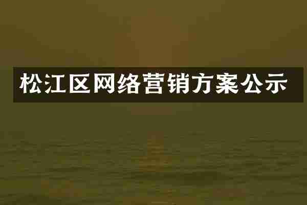 松江区网络营销方案公示
