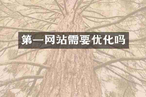 第一网站需要优化吗