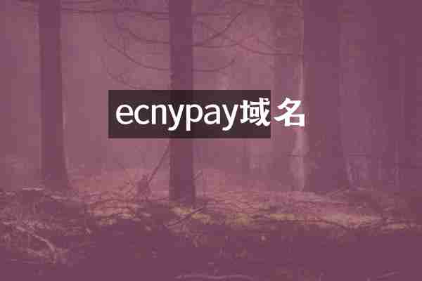 ecnypay域名