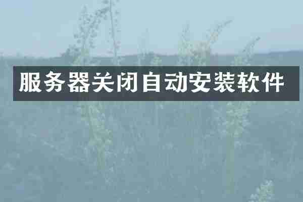 服务器关闭自动安装软件