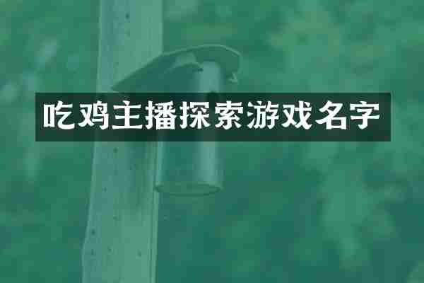 吃鸡主播探索游戏名字