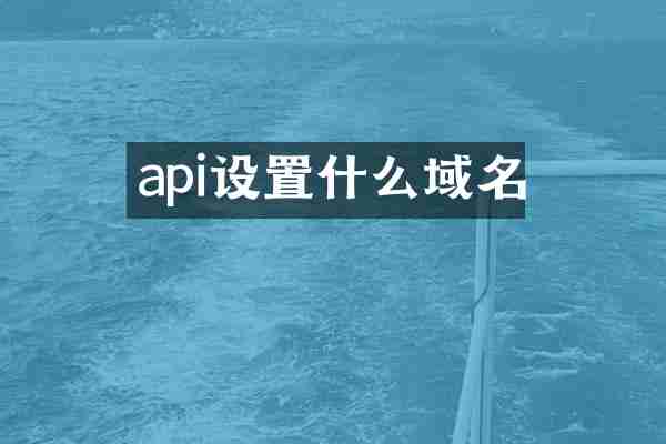 api设置什么域名