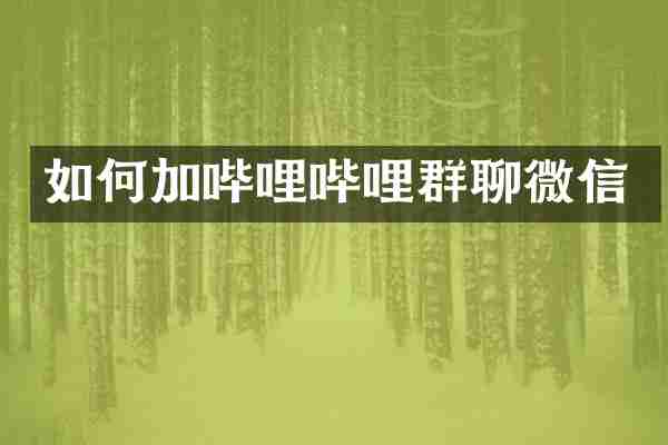 如何加哔哩哔哩群聊微信