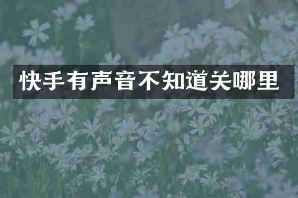 快手有声音不知道关哪里