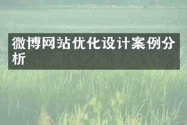 微博网站优化设计案例分析