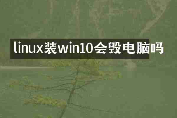linux装win10会毁电脑吗