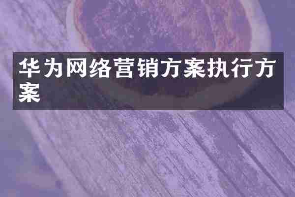 华为网络营销方案执行方案