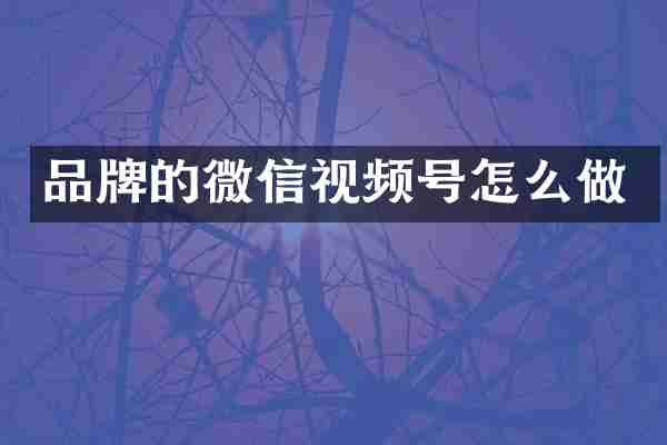品牌的微信视频号怎么做
