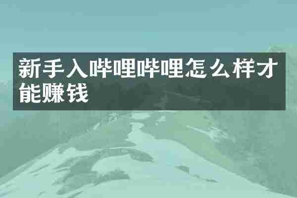 新手入哔哩哔哩怎么样才能赚钱