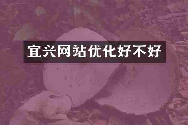 宜兴网站优化好不好