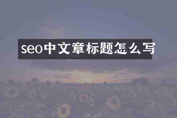 seo中文章标题怎么写