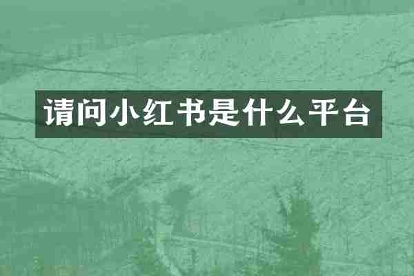 请问小红书是什么平台