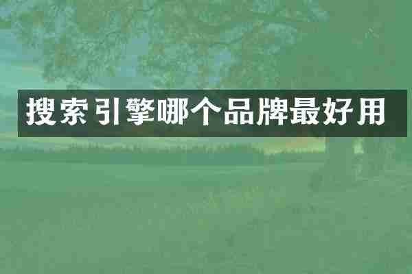 搜索引擎哪个品牌最好用