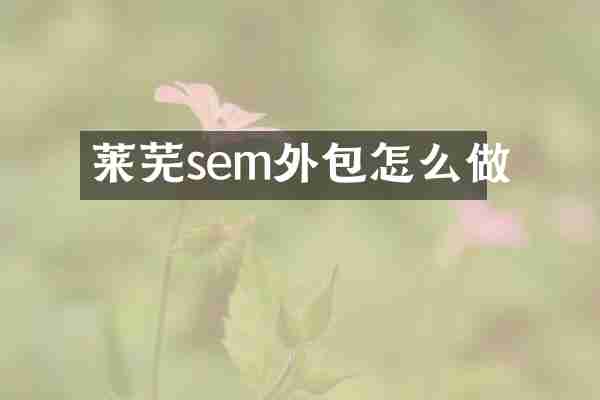 莱芜sem外包怎么做