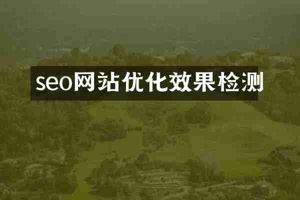 seo网站优化效果检测