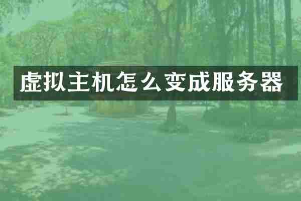 虚拟主机怎么变成服务器