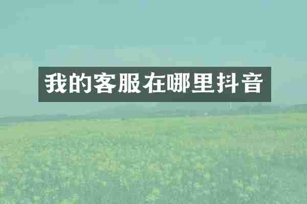 我的客服在哪里抖音