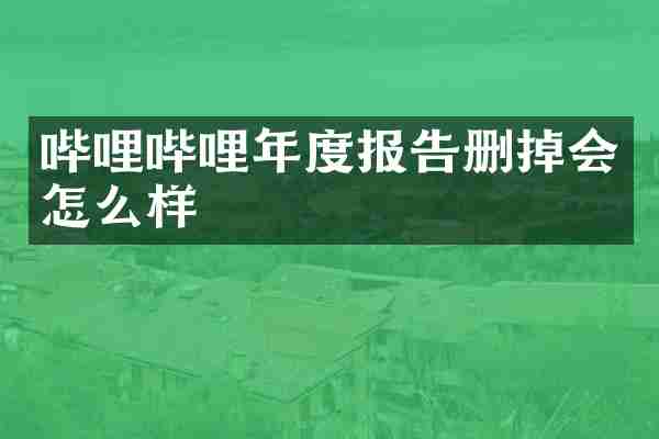 哔哩哔哩年度报告删掉会怎么样