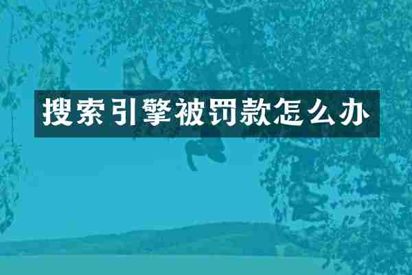 搜索引擎被罚款怎么办