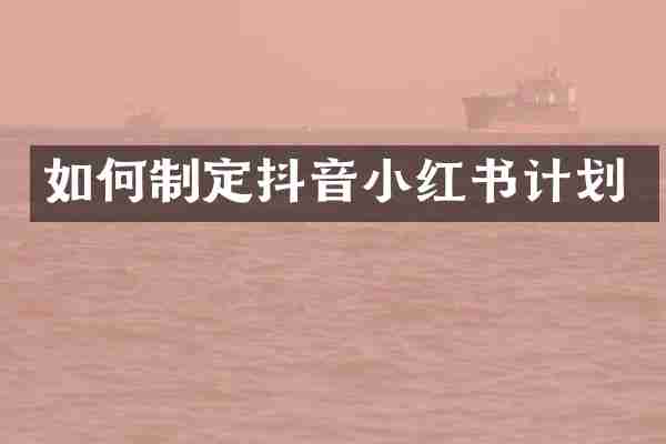 如何制定抖音小红书计划