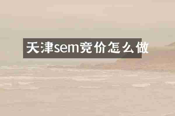 天津sem竞价怎么做