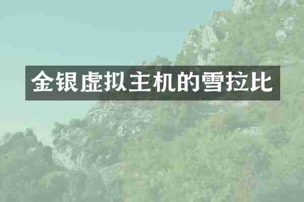 金银虚拟主机的雪拉比