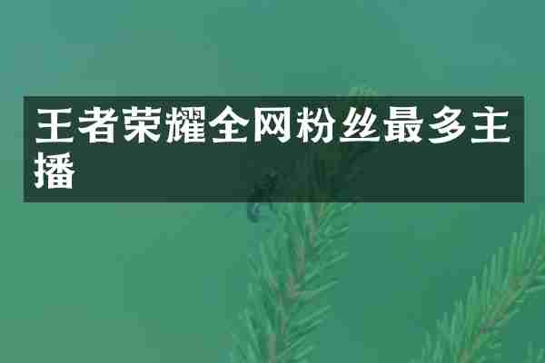 王者荣耀全网粉丝最多主播