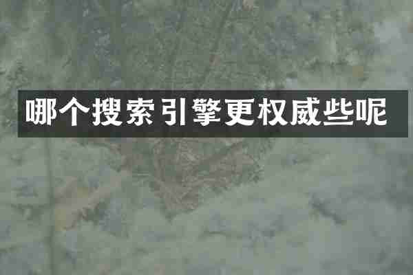 哪个搜索引擎更权威些呢