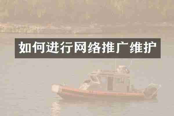 如何进行网络推广维护