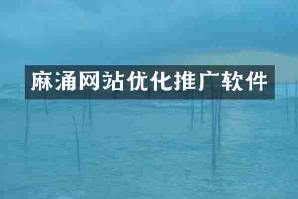 麻涌网站优化推广软件