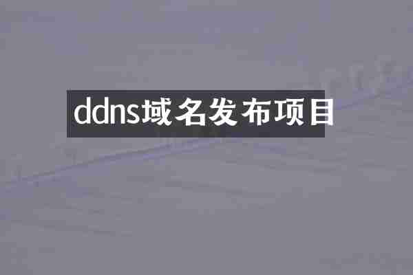 ddns域名发布项目