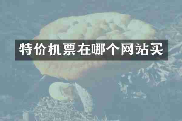特价机票在哪个网站买