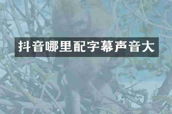 抖音哪里配字幕声音大