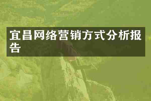 宜昌网络营销方式分析报告