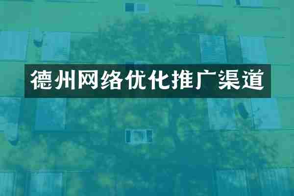 德州网络优化推广渠道