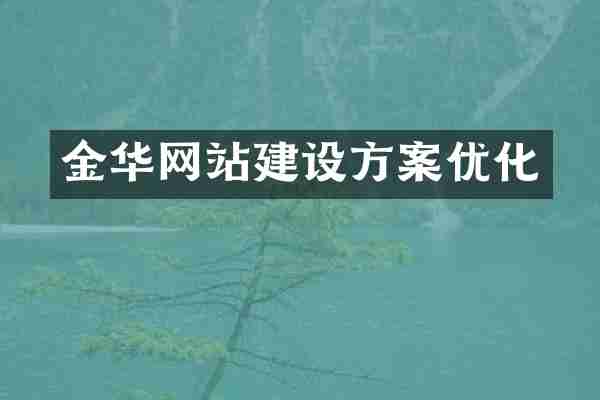 金华网站建设方案优化
