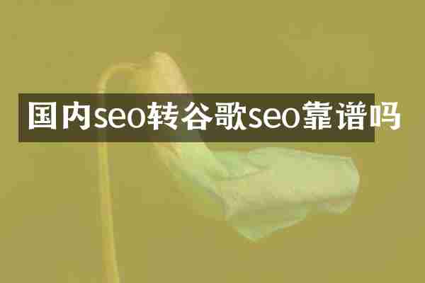 国内seo转谷歌seo靠谱吗